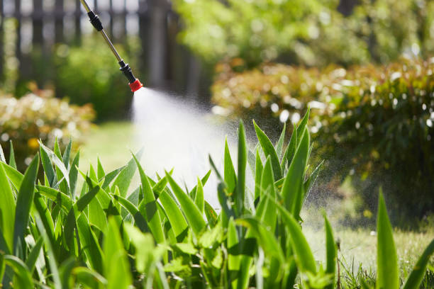 24/7 Emergency Mosquito Control experts in Country Club, FL