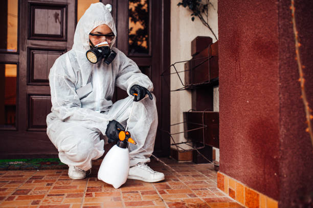 Reliable Mosquito Control contractor in Country Club, FL by Show Me Pest Control